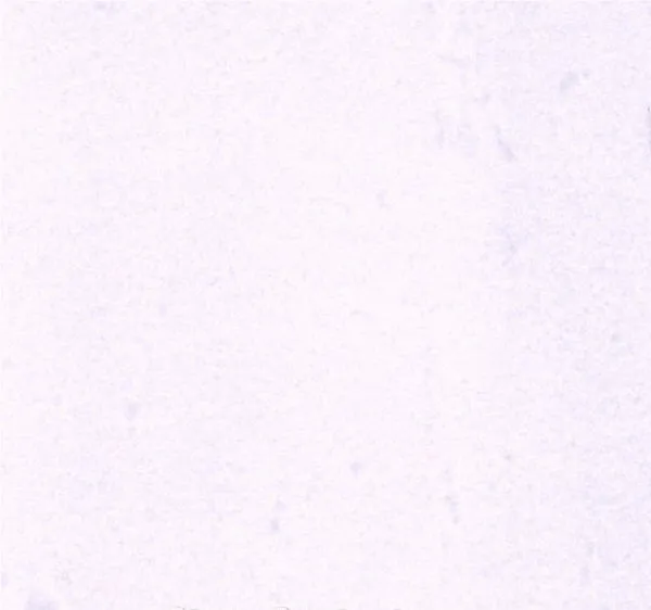 WHITE CRYSTAL